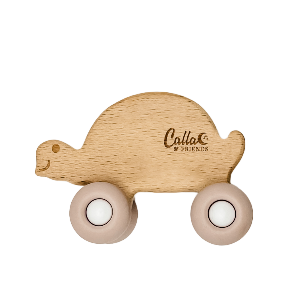 Beechwood Rollin’ Friends - Turtle