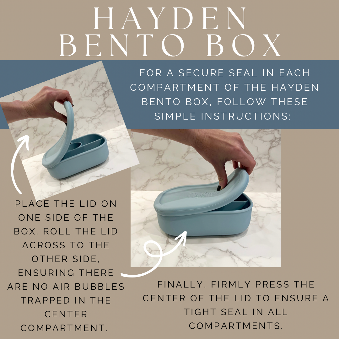 Hayden Bento Box - Petunia Pink